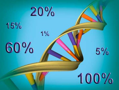 Os testes genéticos identificam mutações que indicam os riscos de uma pessoa vir a desenvolver certas doenças. Novas recomendações americanas propõem que determinadas mutações sejam sempre investigadas. (imagem: WikiCommons/Sofia Moutinho)