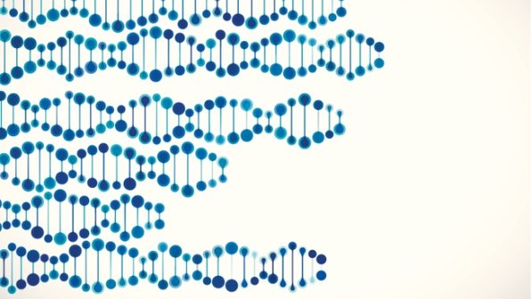 Enquanto o corpo humano cresce e se desenvolve, pequenas falhas no processo de replicação das células podem dar origem a mutações no DNA que as constitui. Uma pesquisa recente analisou as células da pele de sete indivíduos e descobriu que 30% delas apresentavam genomas diferentes do resto do corpo (Thinkstock) 